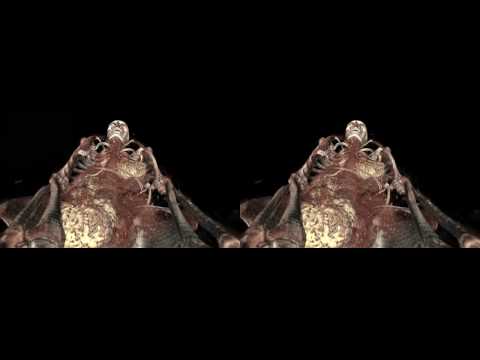 3D stereoscopy - CT scan exploration of ancient egyptian mummies - IMA Solutions - Siggraph 2009