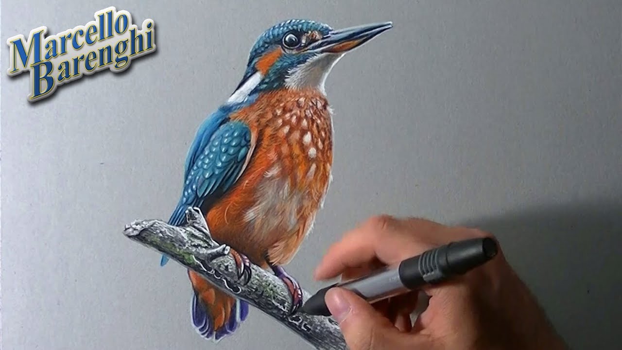 How I draw a kingfisher - YouTube