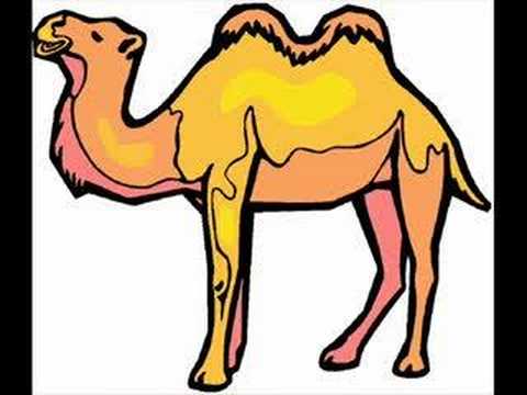 ANIMALS - CHILDREN'S SONG