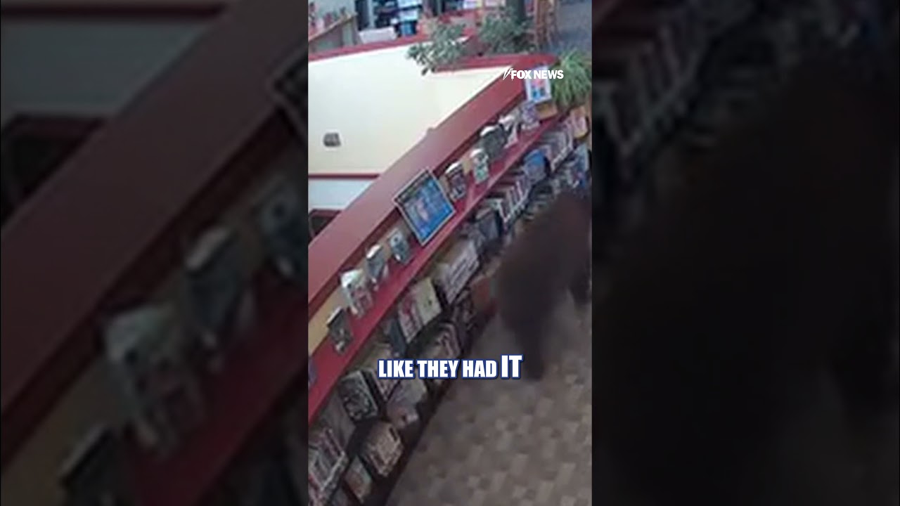 WATCH: Bear BREAKS INTO library