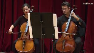 Ultan O'Brien - Letters for Cello Duet