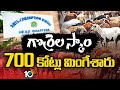 Telangana Sheep Distribution Scam | గొర్రెల పంపిణీ స్కాం దర్యాప్తులో ఏసీబీ దూకుడు | 10TV