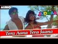 Tera Aana Tera Jaana