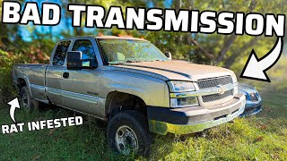 Reviving My FIRST Truck (Transmission Replacement) And MORE