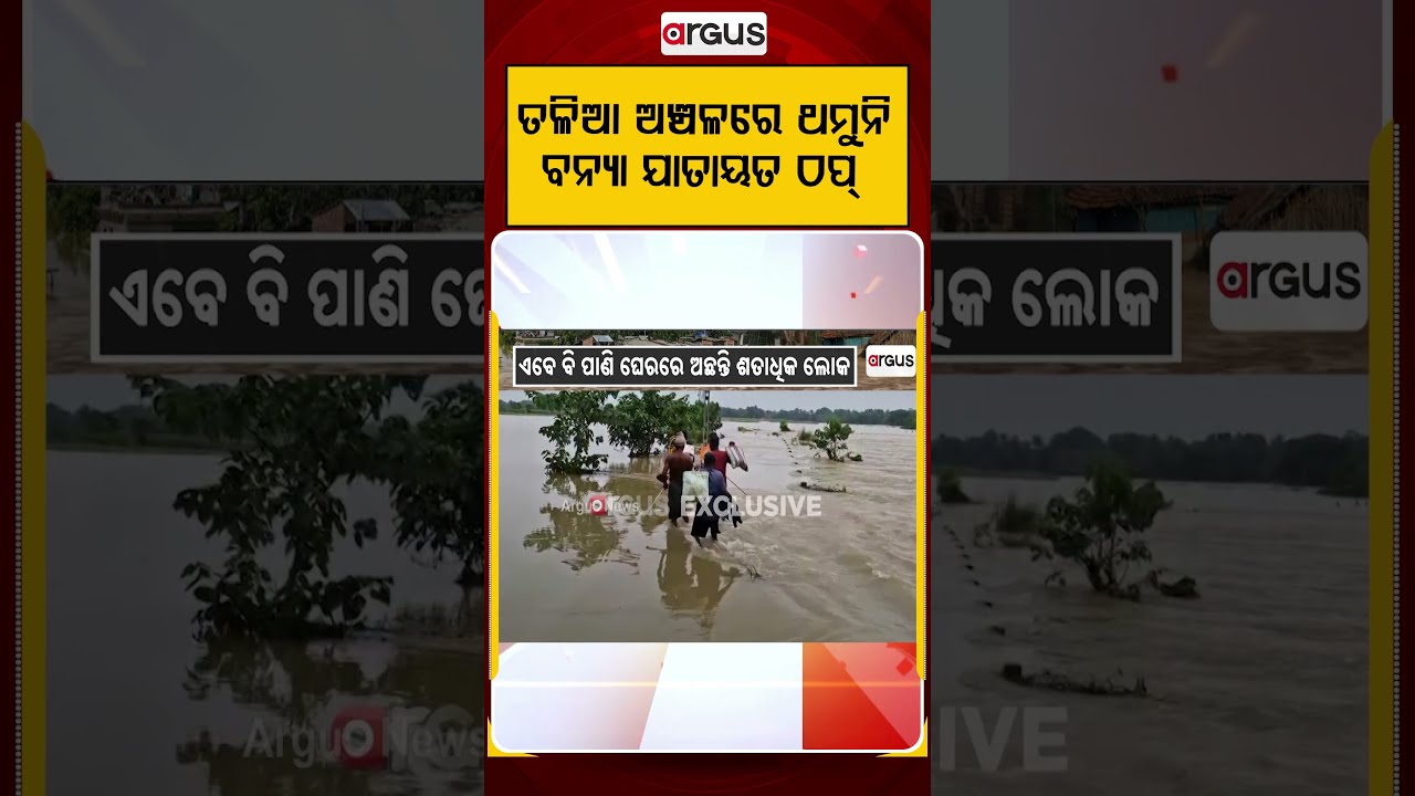 ତଳିଆ ଅଞ୍ଚଳରେ ଥମୁନି ବନ୍ୟା | Water Level Recedes, But Many Villages Still Marooned | Argus News