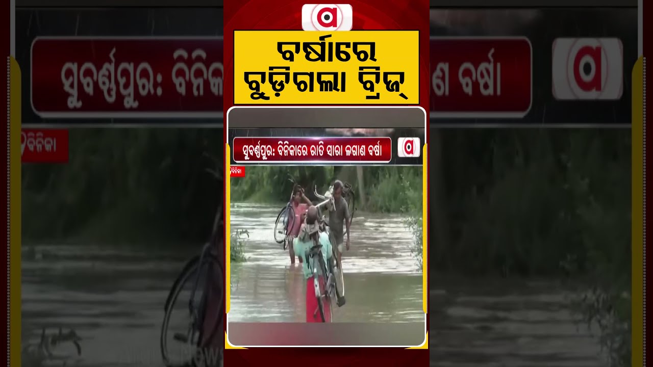 ବର୍ଷାରେ ବୁଡ଼ିଗଲା ବ୍ରିଜ୍ | Bridge Submerged | Odisha Rain | Odisha Flood | Argus News