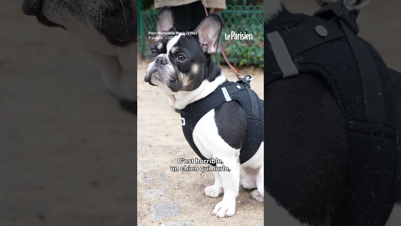 Des chiens électrocutés au Parc Monceau à Paris