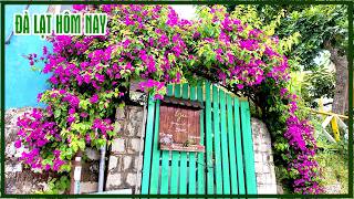 Đà Lạt: Đỉnh điểm nắng nóng con đường Thiện ý về Huyền Trân Công Chúa, Phê Thạch