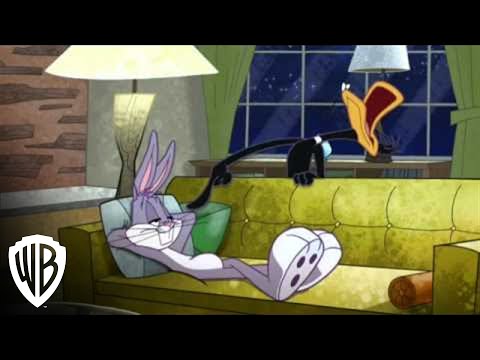 The Looney Tunes Show'