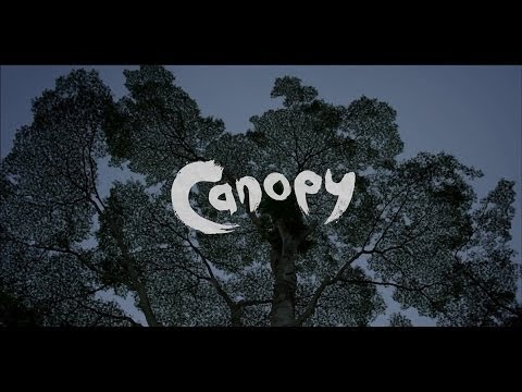 Canopy'