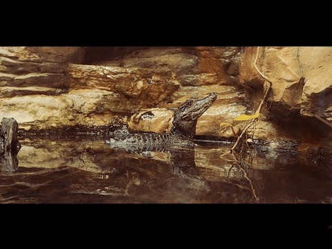 KETAMA126 - LACOSTE FEAT. PRETTY SOLERO (Prod. G FERRARI)