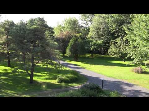 Video realizado por la propiedad