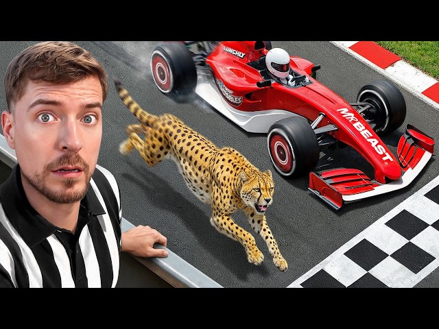 World's Fastest Car Vs Cheetah!