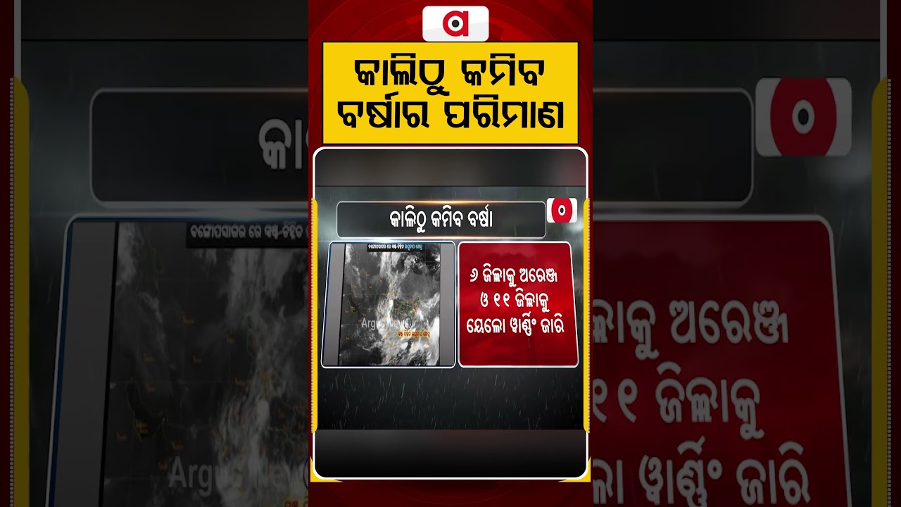 କାଲିଠୁ କମିବ ବର୍ଷାର ପରିମାଣ | Weather Update | Odisha Weather | Low Pressure | Argus News