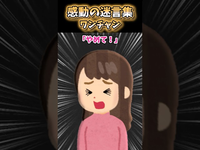 【2ch 感動】ワンチャン#2ch