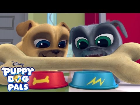 Puppy Dog Pals'