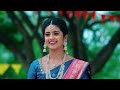 Agnipariksha - Full Ep 237 - Radhika, Kailash, Priyanka, Amar - Zee Telugu