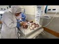 Premature babies moved safely to south Gaza  - 01:35 min - News - Video