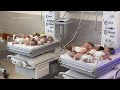 Premature babies moved safely to south Gaza