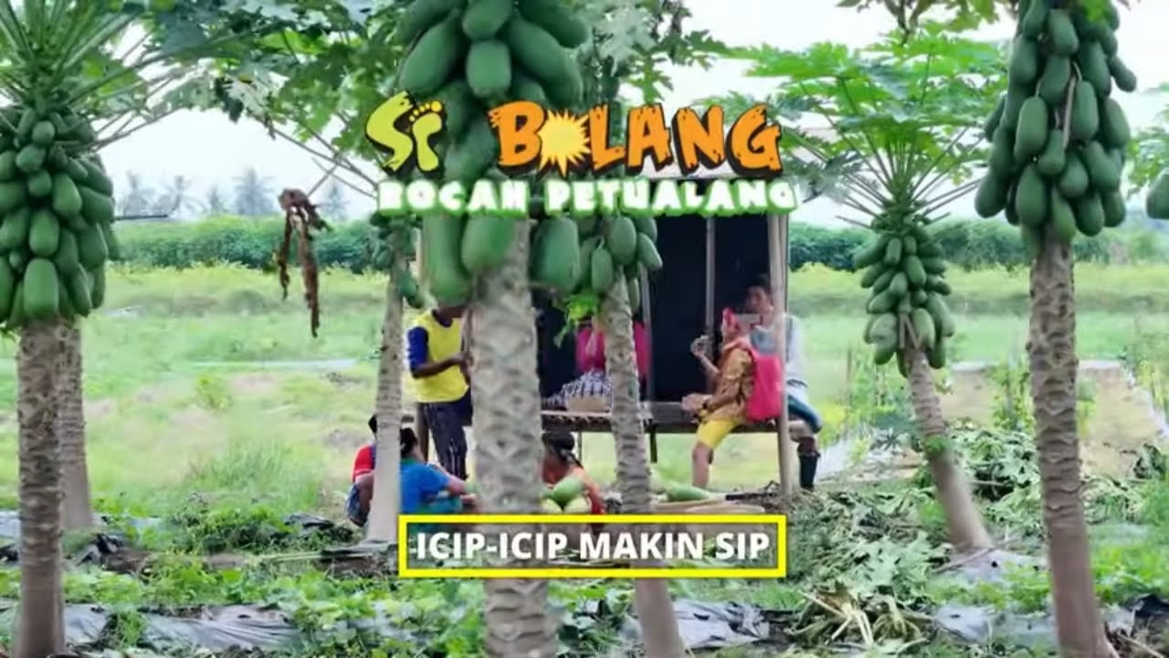 [FULL] Icip-Icip Makin Sip | SI BOLANG (15/10/25)