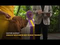 Westminster dog show winner treated to steak lunch - 00:48 min - News - Video