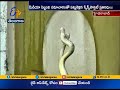 Snake Hulchul In Telangana Assembly