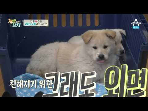 160311 A Man Who Feeds The Dog 개밥주는남자 EP.13 - Kangin & Chunhyang 7