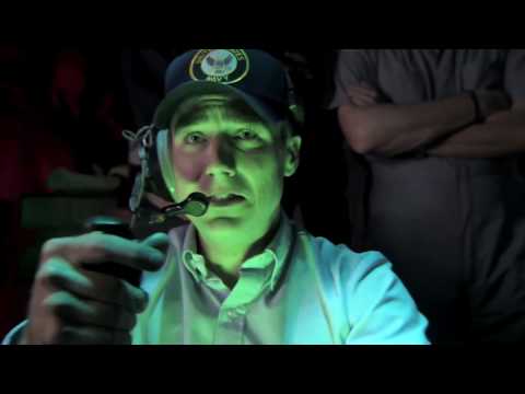 Mega Shark vs Giant Octopus'