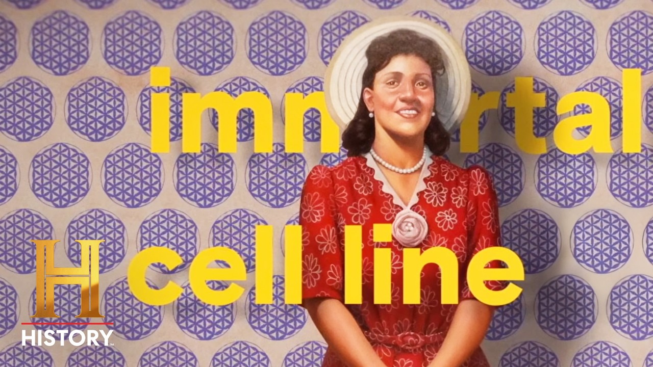The Immortal Life of Henrietta Lacks | History Honors 250