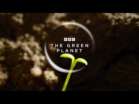 The Green Planet'