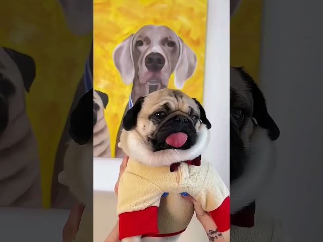 Ela viu algo na janela da sua casa e correu!