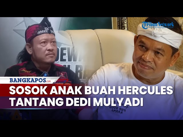 Sosok Gabryel Alexander Anak Buah Hercules yang Tantang Dedi Mulyadi, Punya Rekam Jejak Luar Biasa