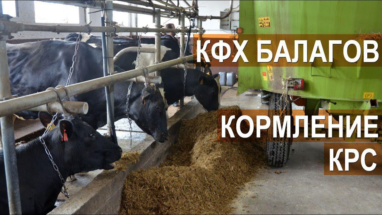 отличный, порекомендую Вакуумный клиторальный читать ошибаетесь. Давайте обсудим