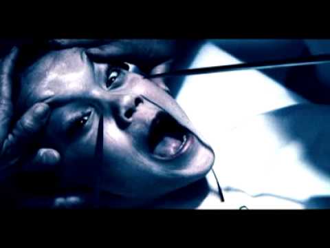 Asylum'