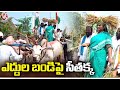 Congress MLA Seethakka rides bullock cart 