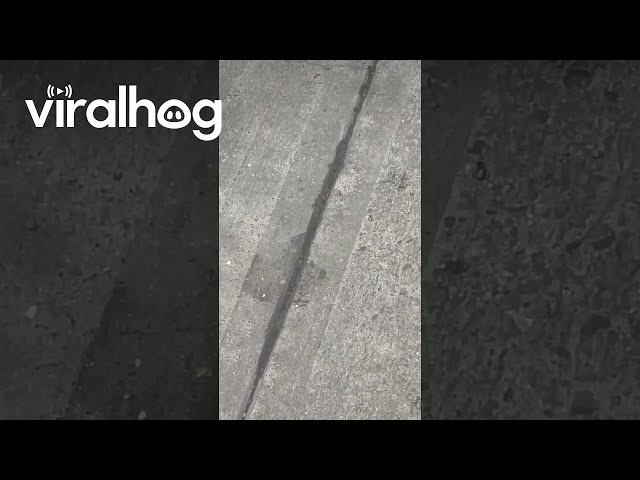 Smoke Comes Up From NYC Sidewalk || ViralHog