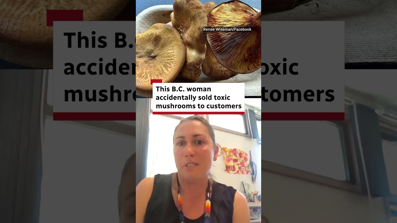 This B.C. woman accidentally sold toxic mushrooms to customers