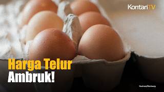 Harga Telur Anjlok, Pemerintah Minta MBG Serap Produksi Peternak Lokal