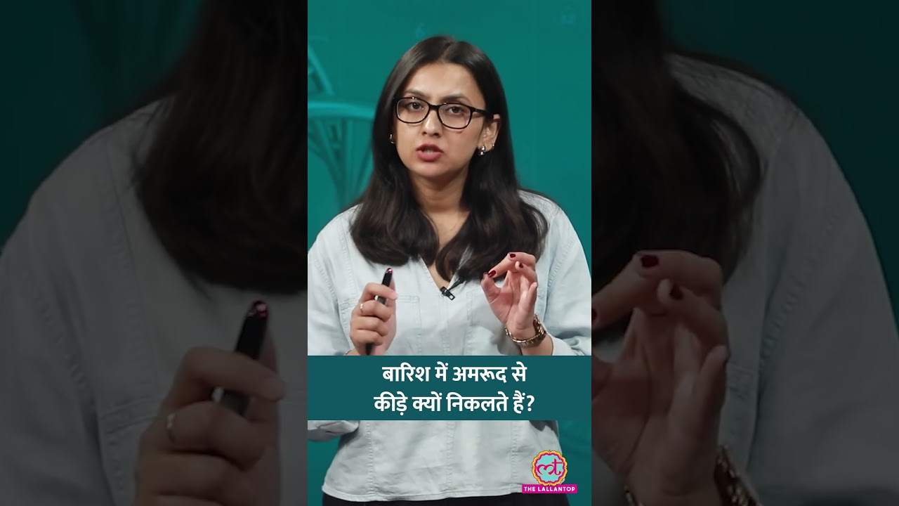 Guava में कीड़े, Videos Viral, इस मौसम में अच्छे अमरूद कैसे चुनें? #sehat #ltsehat #shorts
