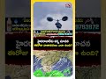 హైదరాబాద్‌కు వర్ష సూచన | ఈరోజు వాతావరణం ఎలా ఉంది? | Hyderabad Weather Today | Rain Alert 🌧️  - 01:02 min - News - Video
