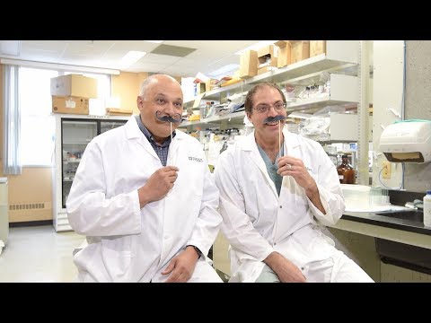 Premier cancer en importance chez les hommes, le cancer de la prostate touche un Canadien sur sept. Le professeur Robert Day et son équipe viennent de découvrir un mécanisme biochimique majeur qui pourrait être au cœur de la progression de cette maladie. La percée, publiée dans Cancer Research, apparaît si prometteuse que l’équipe planche déjà sur des applications diagnostiques et thérapeutiques. Premier cancer en importance chez les hommes, le cancer de la prostate touche un Canadien sur sept. Le professeur Robert Day et son équipe viennent de découvrir un mécanisme biochimique majeur qui pourrait être au cœur de la progression de cette maladie. La percée, publiée dans Cancer Research, apparaît si prometteuse que l’équipe planche déjà sur des applications diagnostiques et thérapeutiques.