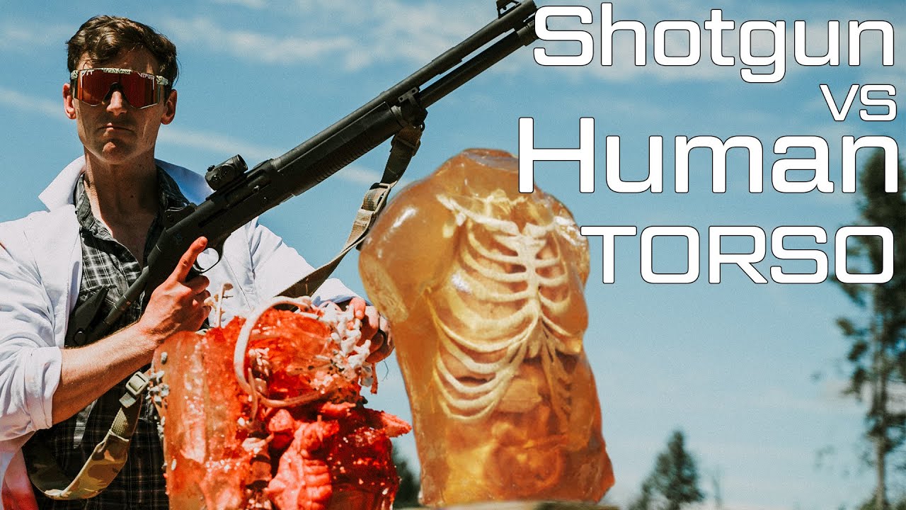 Shotgun Vs Human Torso