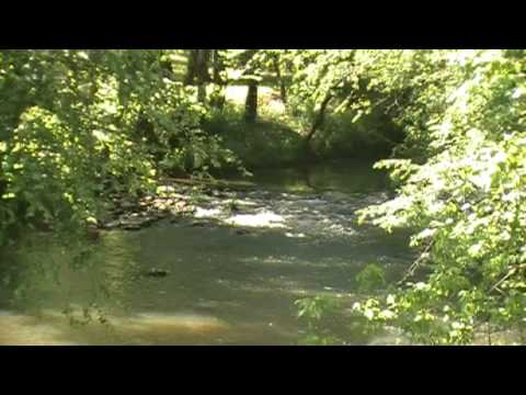 Rock ford stream crossing #2