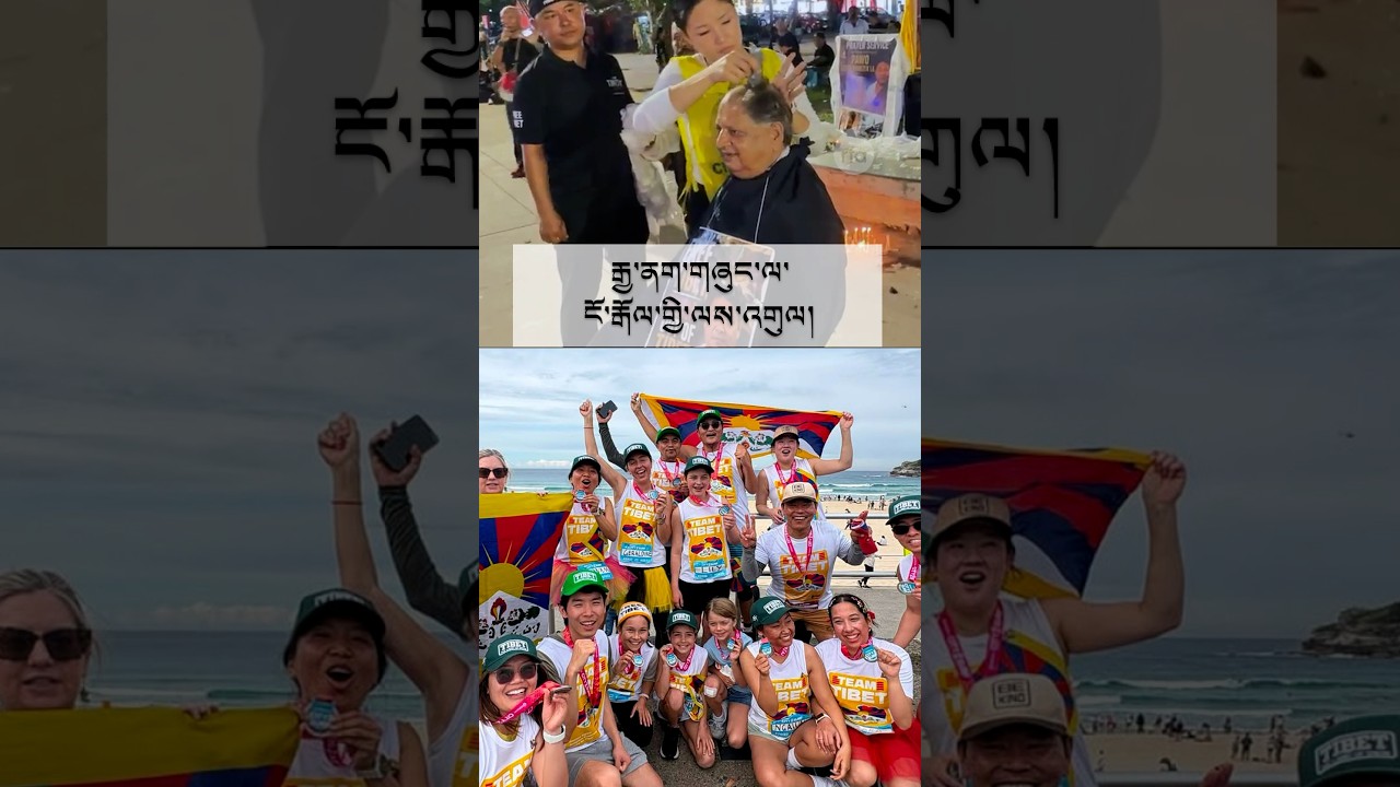 བོད་མི་ ༥༠༠ ལྷག་གིས་ཅན་དྷི་གྷར་དུ་རྒྱ་ནག་ལ་ངོ་རྒོལ 500+ Tibetans rally against China in Chandigarh