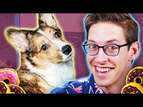 Keith Judges 11 Dogs And Their Hometowns