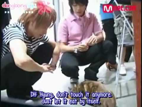 Leeteuk & Donghae feeding a cat