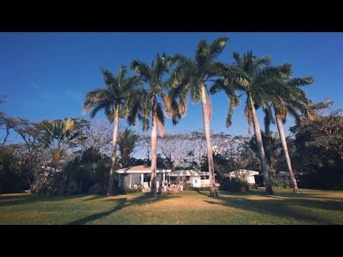 Property video