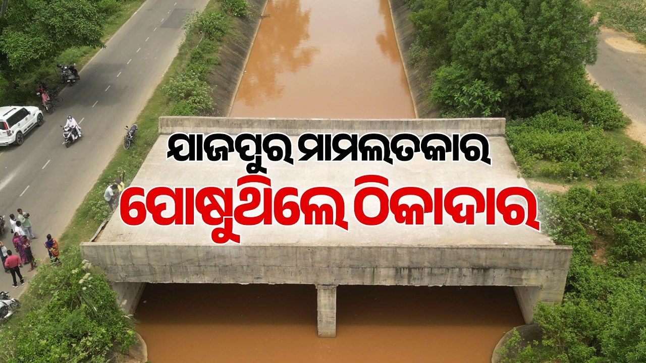 ଯାଜପୁରରେ ଠିକାଦାର ପୋଷାର ବଡ଼ ପ୍ରମାଣ| Jajpur Bridge Scam | Contractor Scam | BJDCorruption |ArgusNews