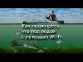 wi fi под водой - съемка видео рыбалки экшн камерой YI 4K