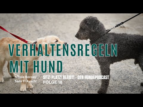 #18 Knigge mit Hund - so klappt´s in der Öffentlichkeit